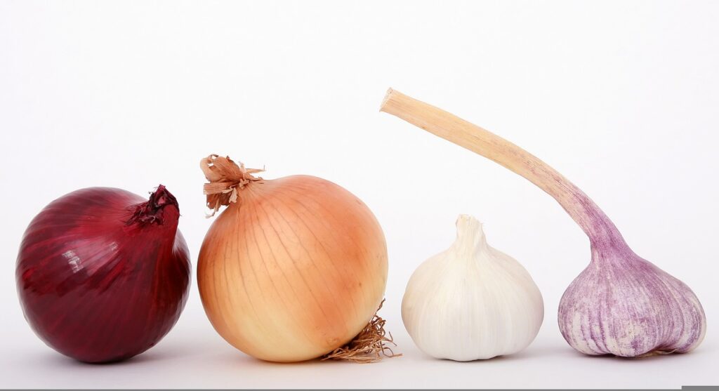 onions, garlic, vegetables-1239423.jpg